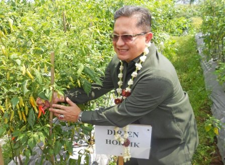 Hortikultura, 90% Dipenuhi dari Produksi Nasional